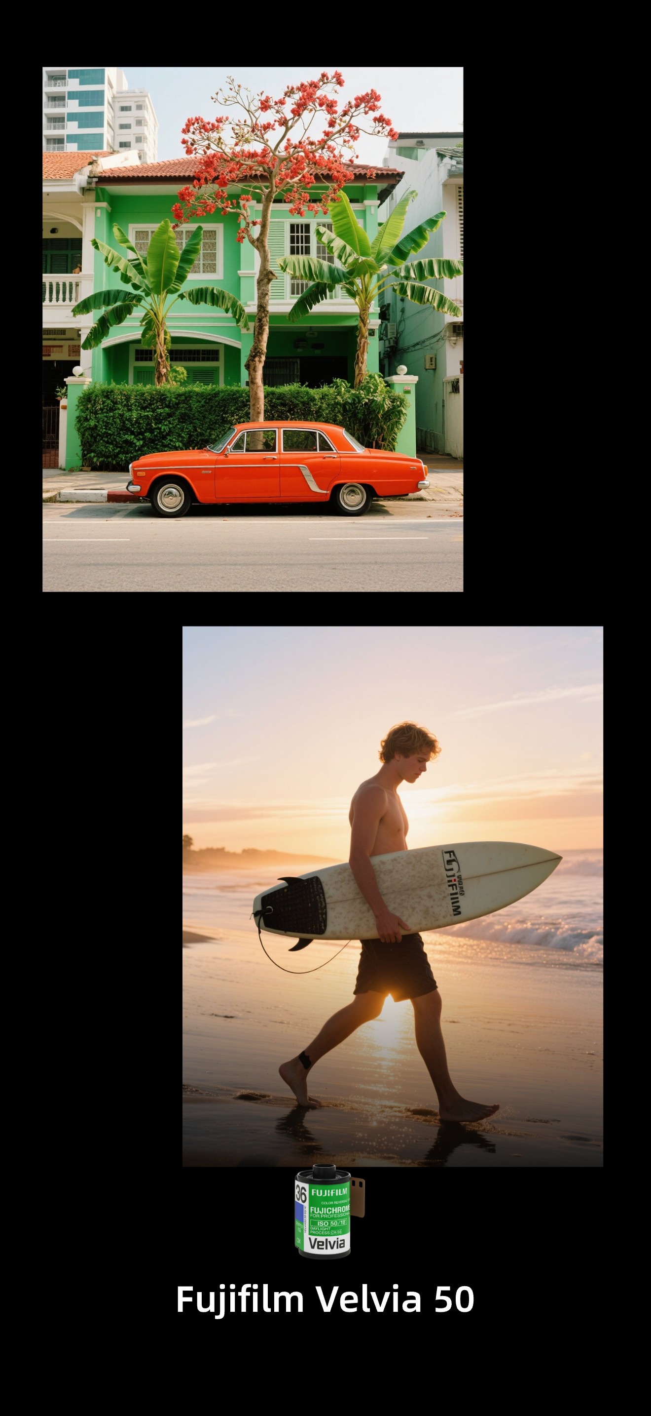 Fujifilm Velvia 50 - Saturated landscape and lifestyle photography