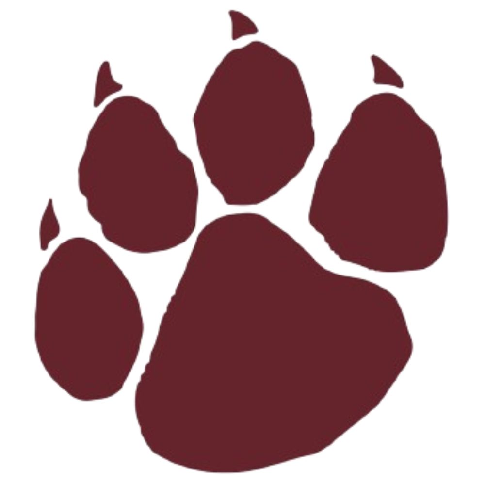 DK Paw Logo