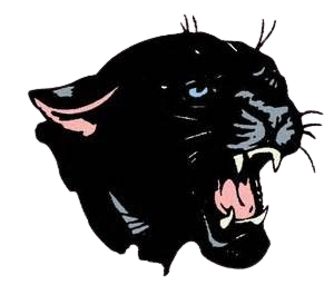 DK Panther Logo